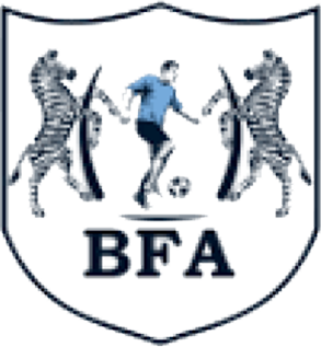 Fifa 2009 Project